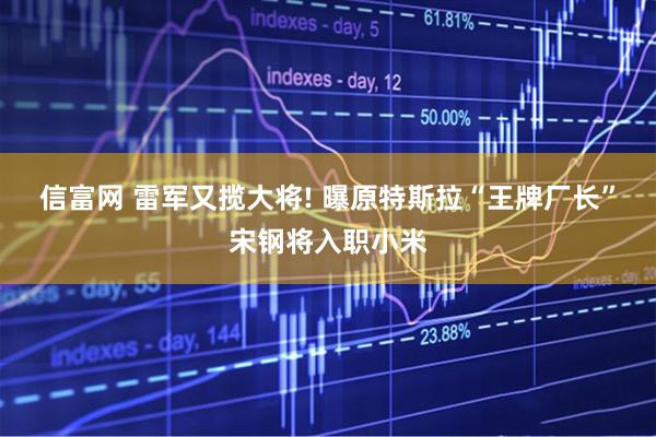 信富网 雷军又揽大将! 曝原特斯拉“王牌厂长”宋钢将入职小米
