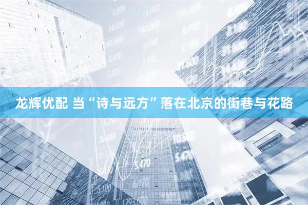 龙辉优配 当“诗与远方”落在北京的街巷与花路