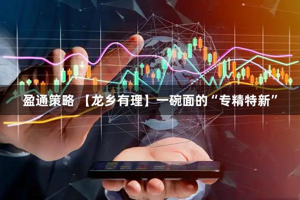盈通策略 【龙乡有理】一碗面的“专精特新”