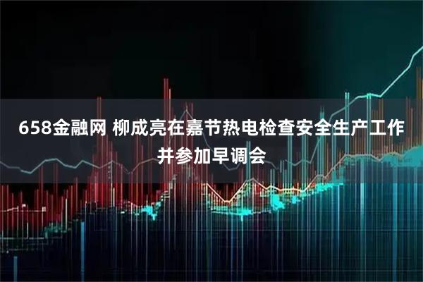 658金融网 柳成亮在嘉节热电检查安全生产工作并参加早调会